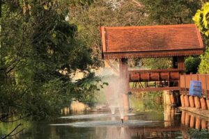 ภาพโครงการที่ 2